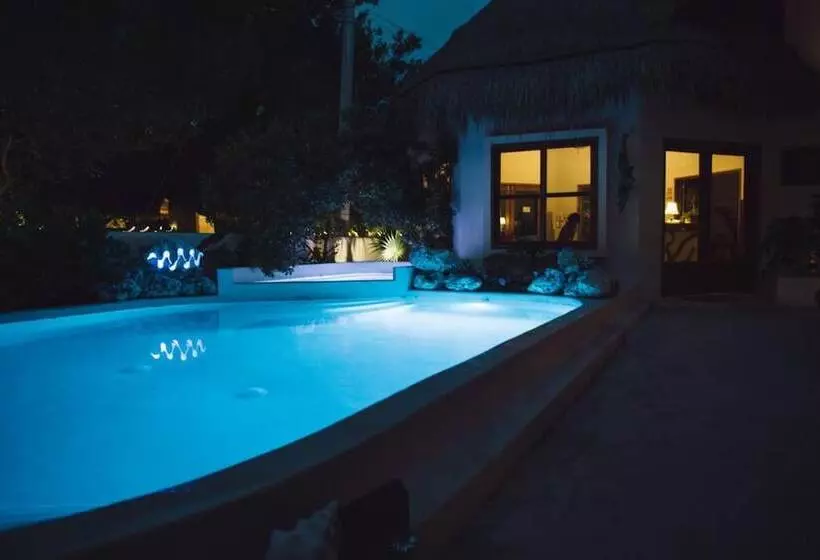 Fotos del hotel Casa Iguana Holbox  Beachfront:  8