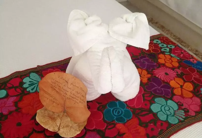 Fotos del hotel Casa Iguana Holbox  Beachfront:  5