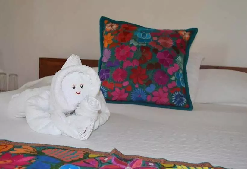 Fotos del hotel Casa Iguana Holbox  Beachfront:  25