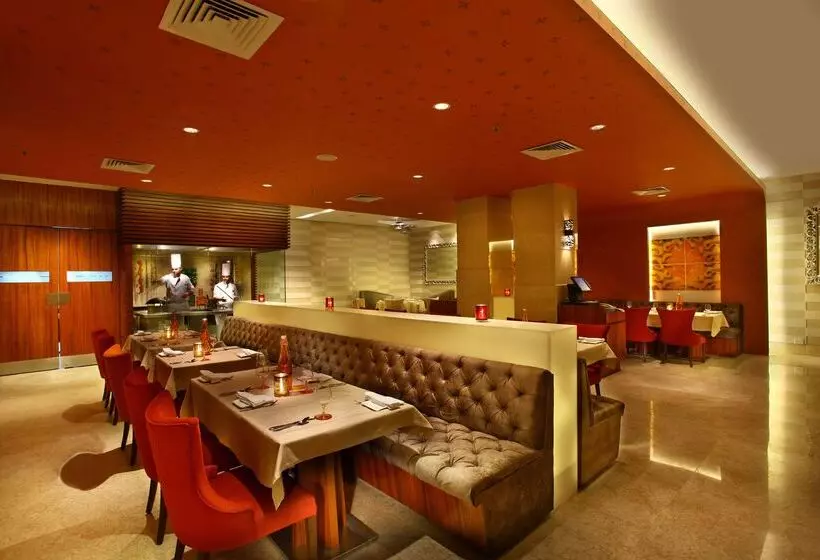 Fotos del hotel Park Plaza Shahdara:  22