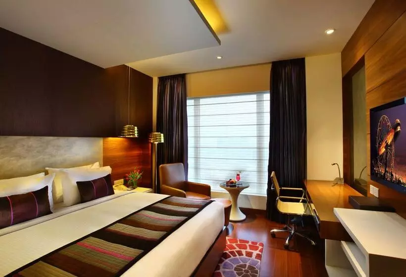 Fotos del hotel Park Plaza Shahdara:  2