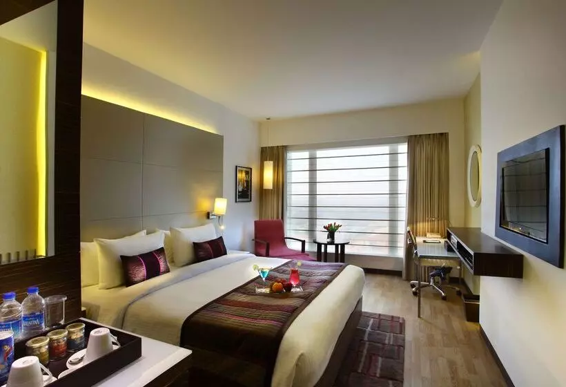 Fotos del hotel Park Plaza Shahdara:  10