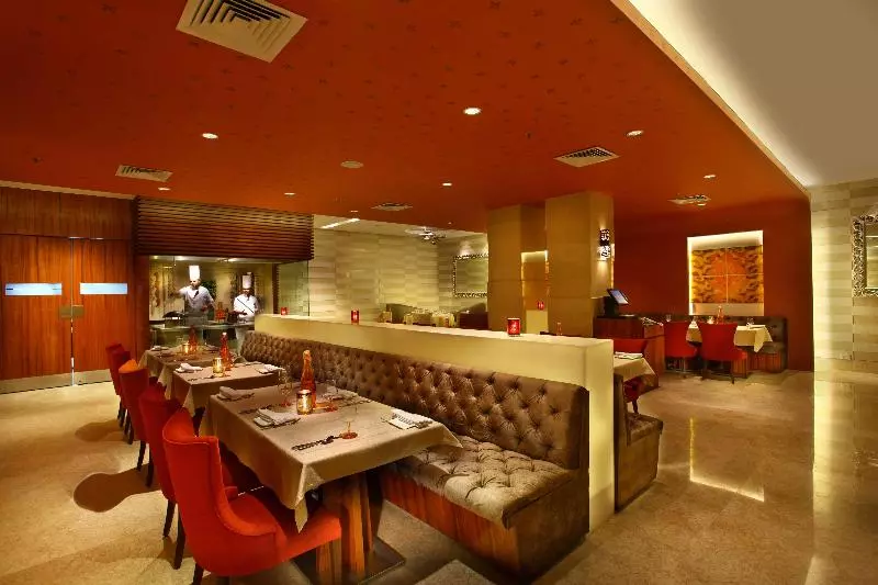 Fotos del hotel Park Plaza Shahdara:  12