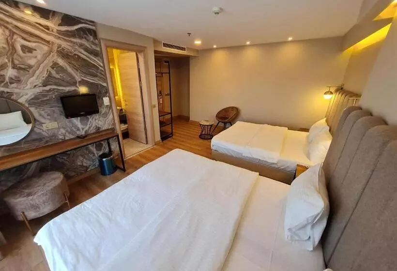 Fotos del hotel Air Boss Istanbul Airport And Fair:  2