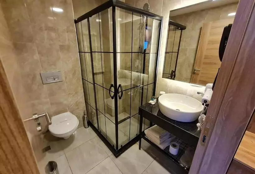 Fotos del hotel Air Boss Istanbul Airport And Fair:  11