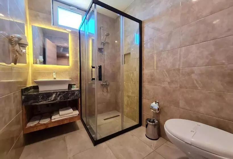 Fotos del hotel Air Boss Istanbul Airport And Fair:  6