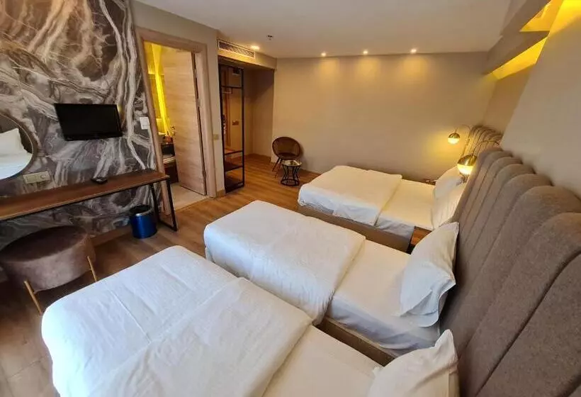 Fotos del hotel Air Boss Istanbul Airport And Fair:  16