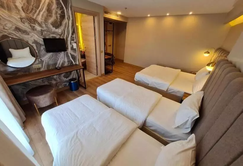 Fotos del hotel Air Boss Istanbul Airport And Fair:  25