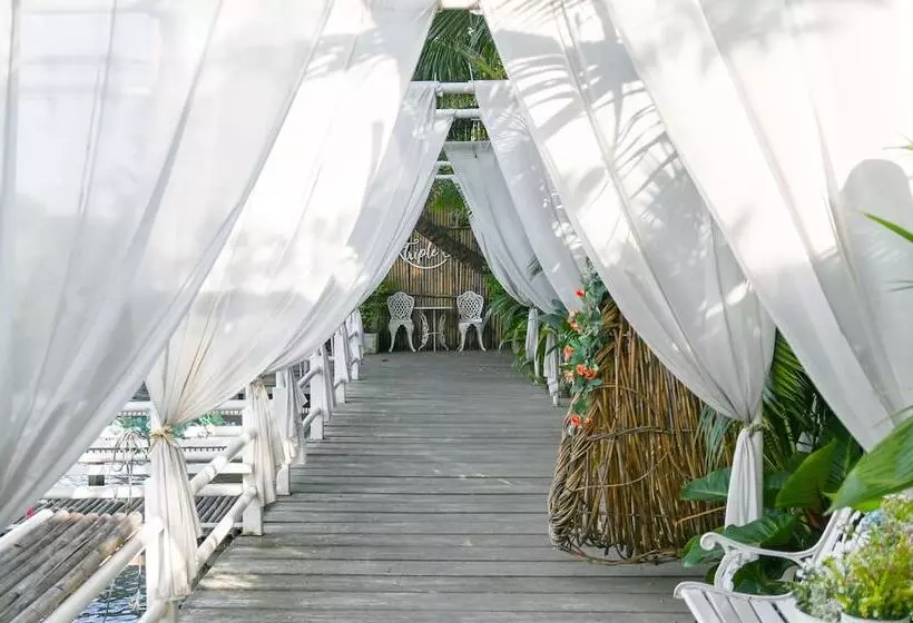 Fotos del hotel Aranta Airport:  17