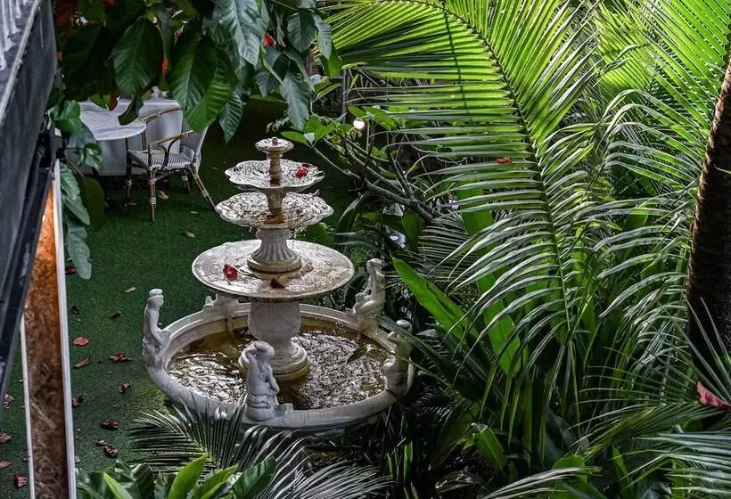 Fotos del hotel Aranta Airport:  12