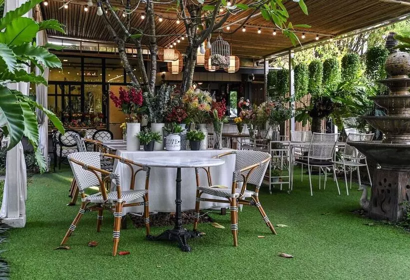 Fotos del hotel Aranta Airport:  21