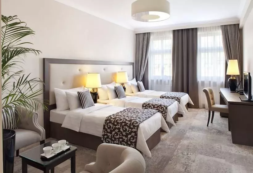 Fotos del hotel Metropolitan Boutique:  12