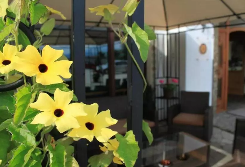 Fotos del hotel Airport Salzburg   Am Salzburg Airport:  24