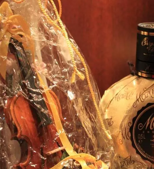 Fotos del hotel Airport Salzburg   Am Salzburg Airport:  16