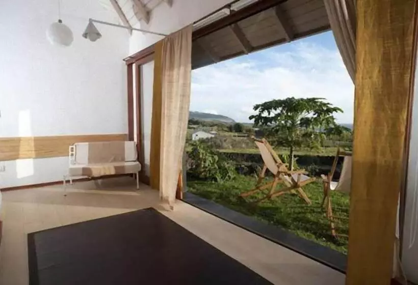 Fotos del hotel Altiplanico Rapa Nui:  24