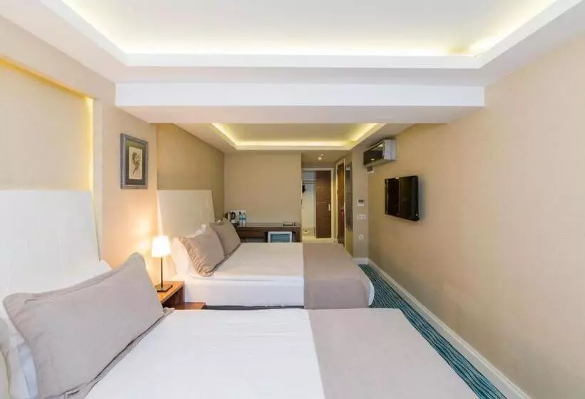 Fotos del hotel Aston  Taksim:  18