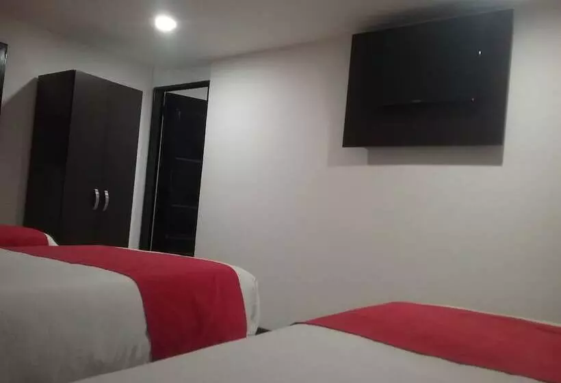 Fotos del hotel Zafiro Boutique:  15