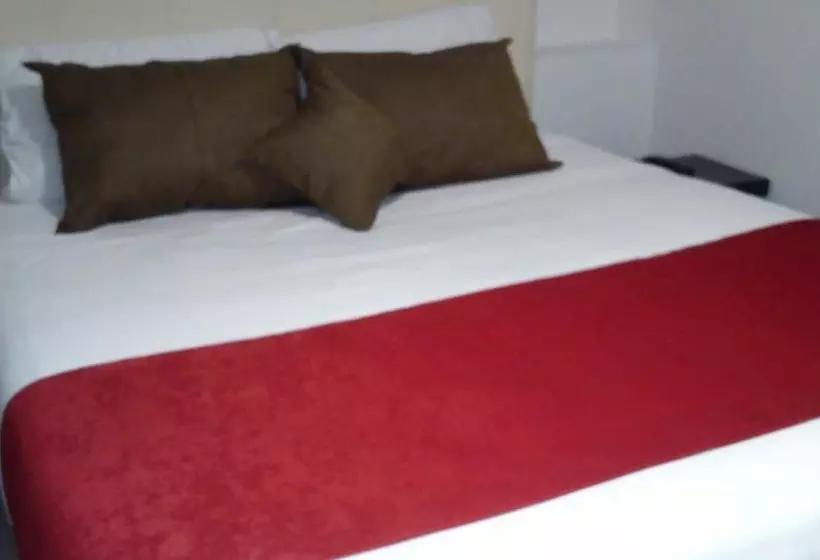 Fotos del hotel Zafiro Boutique:  22