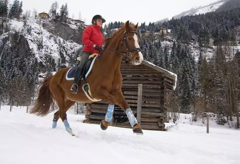 Fotos del hotel Kur-sportpension Villa Anna:  18