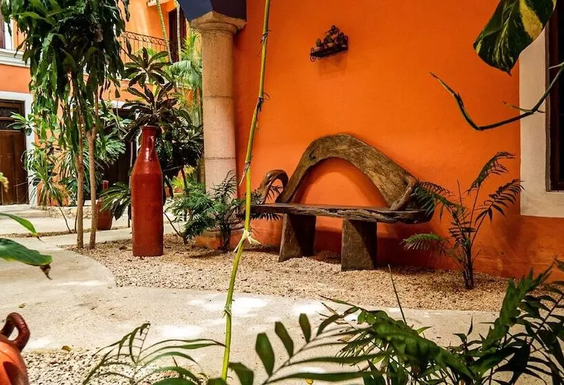 Fotos del hotel Casa De Las Flores:  14