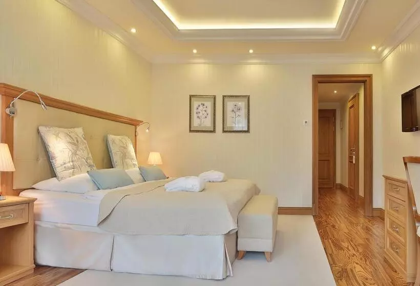 Fotos del hotel Retro Riverside Wellness Resort:  6