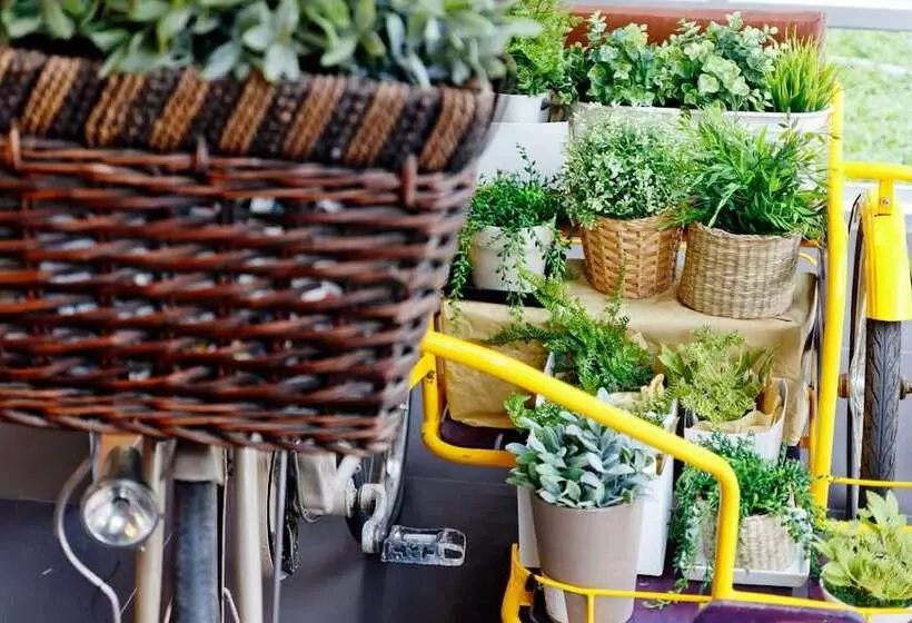 Fotos del hotel Lemontea:  4