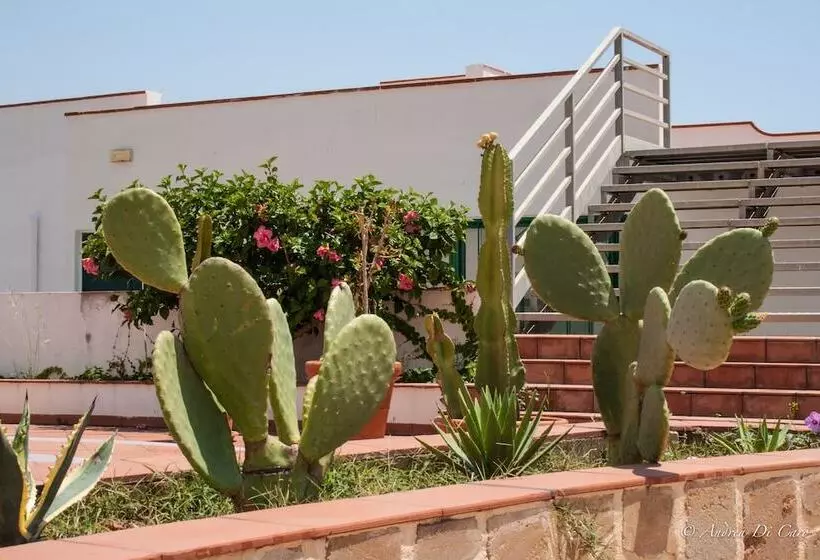 Fotos del hotel Puntamajata:  9