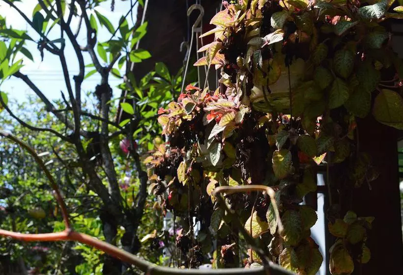 Fotos del hotel The Hoi An Orchid Garden Villas:  11