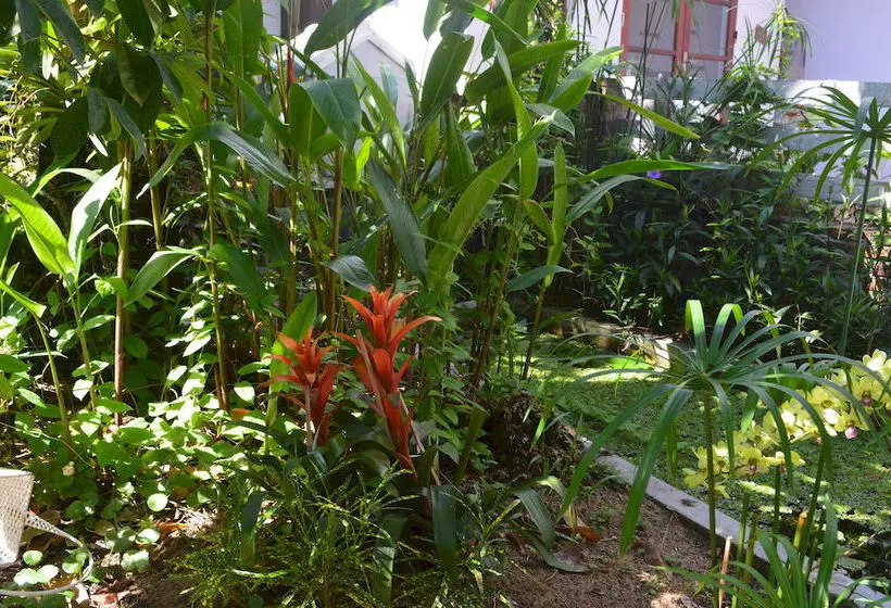 Fotos del hotel The Hoi An Orchid Garden Villas:  20