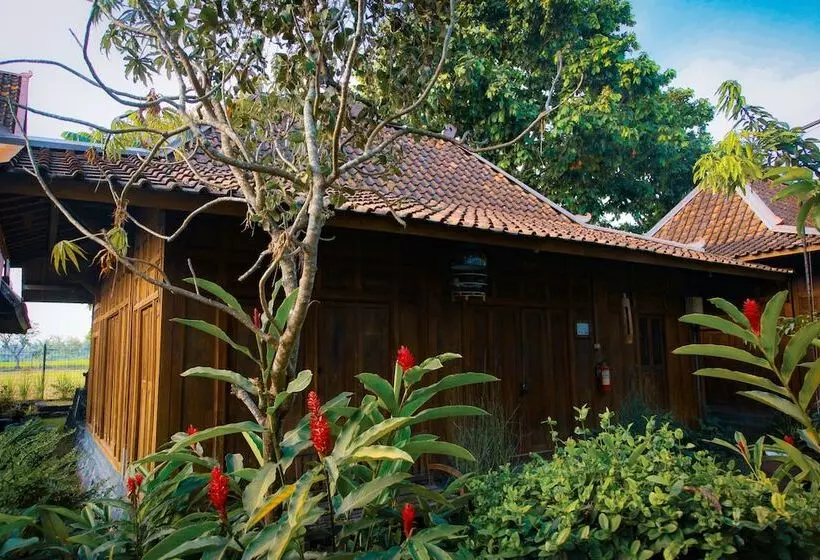 Fotos del hotel Tembi Rumah Budaya:  15