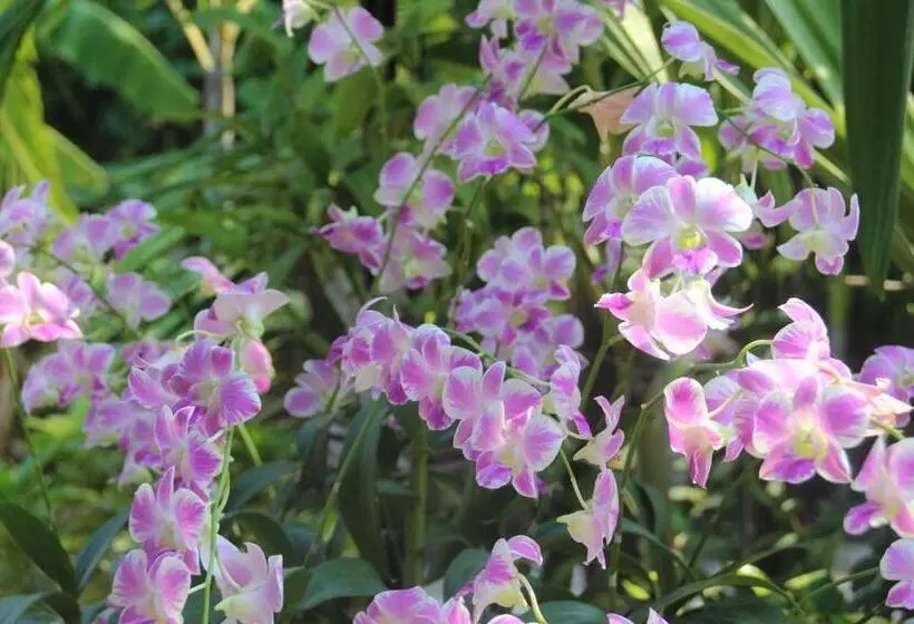 Fotos del hotel Cocco Resort:  4