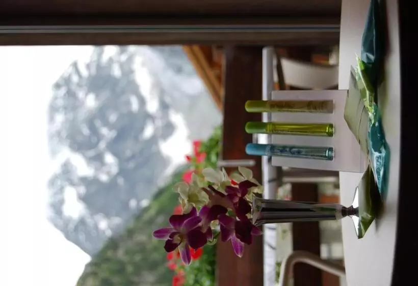 Fotos del hotel Du Pigne:  2