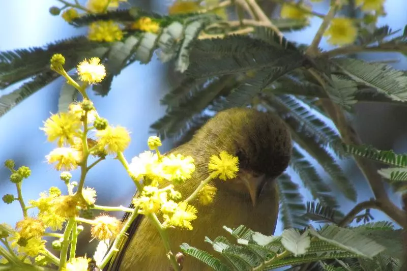 Fotos del hotel La Colina  Cottage:  6