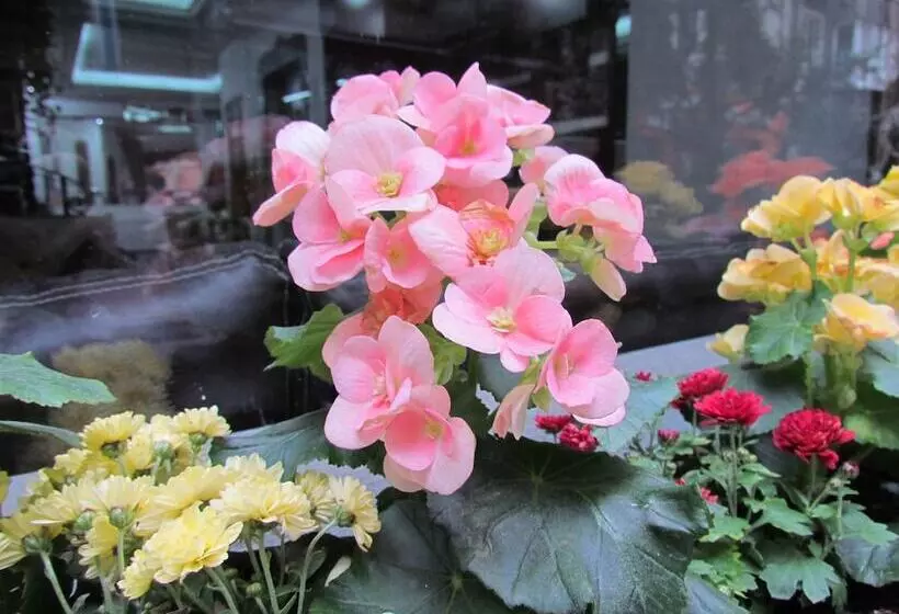 Fotos del hotel Promise:  11