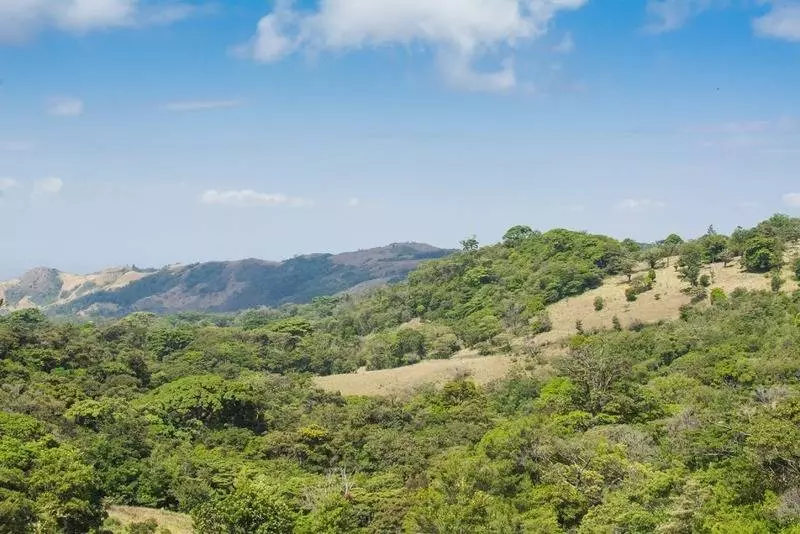 Fotos del hotel Cipreses:  10