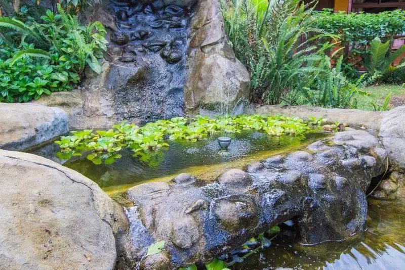 Fotos del hotel Cipreses:  5