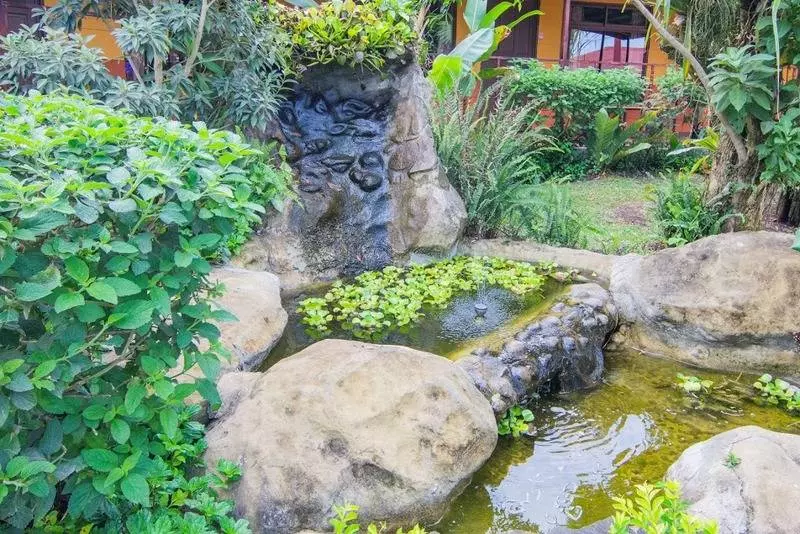 Fotos del hotel Cipreses:  9