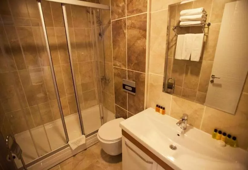 Fotos del hotel Helikon Business:  7