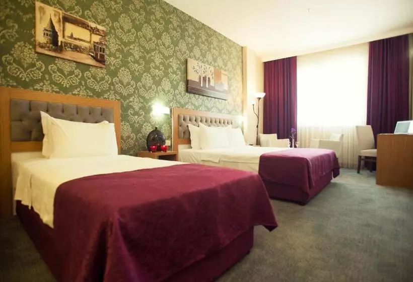 Fotos del hotel Helikon Business:  14