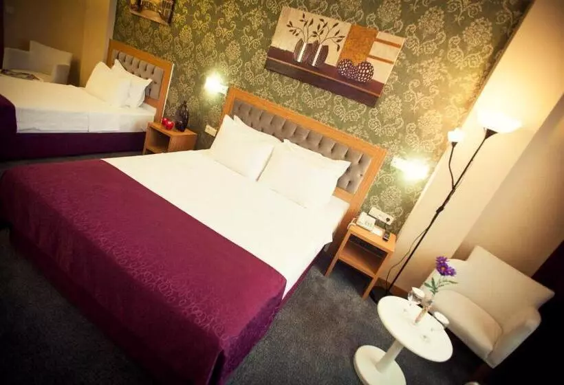 Fotos del hotel Helikon Business:  18