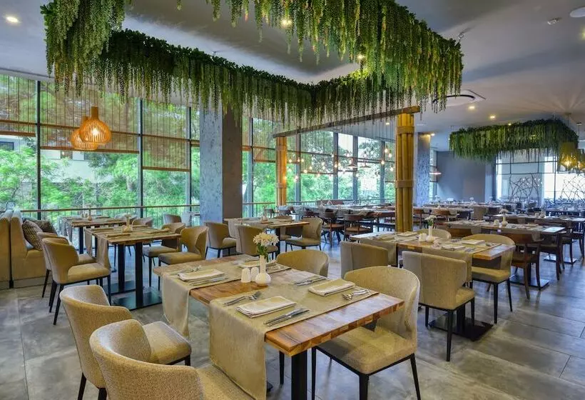 Fotos del hotel Grifid  Vistamar  Ultra All Inclusive:  19