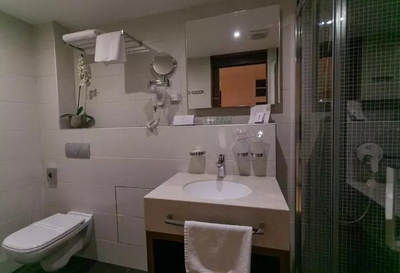 Fotos del hotel Aurel:  9