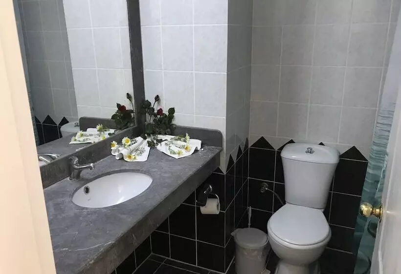 Fotos del hotel Aymes:  8