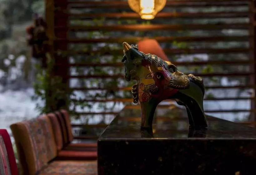 Fotos del hotel Casa Del Sol Machupicchu:  6