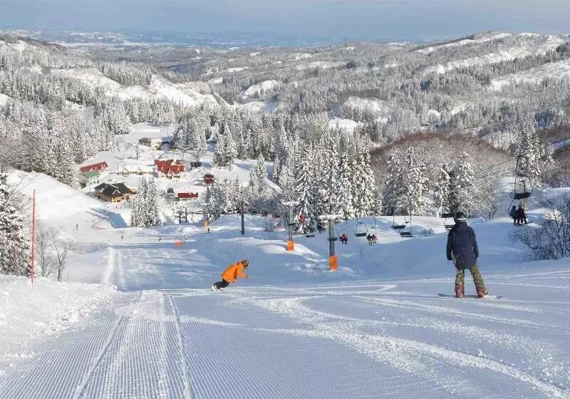 Fotos del hotel Green Plaza Joetsu:  21