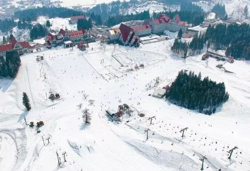 Fotos del hotel Green Plaza Joetsu:  19