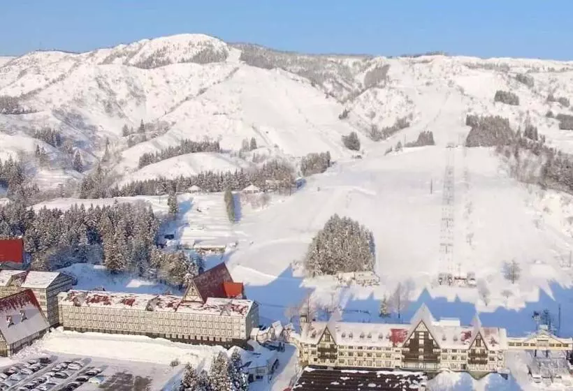 Fotos del hotel Green Plaza Joetsu:  20