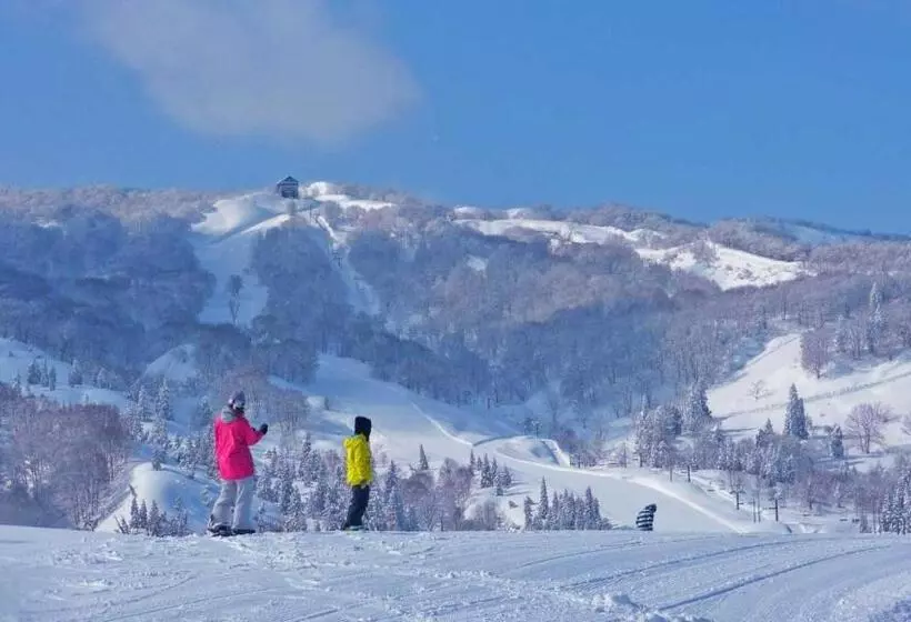 Fotos del hotel Green Plaza Joetsu:  17