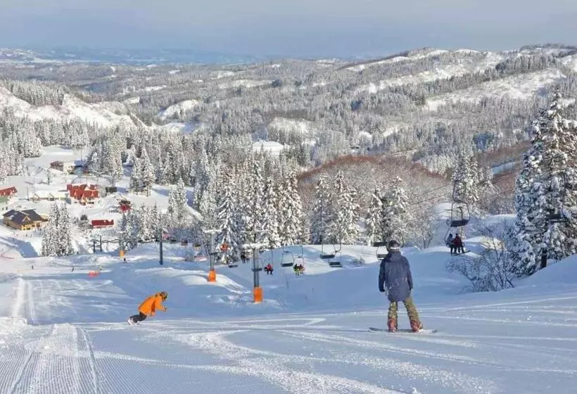 Fotos del hotel Green Plaza Joetsu:  25