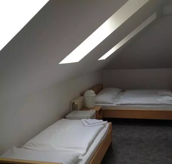 Fotos del hotel Pension Filip:  23